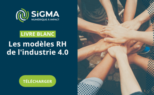 Vignette du livre blanc La transformation des modèles RH dans l'industrie 4.0