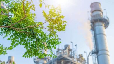 Photo symbolisant l'écoresponsabilité : un bâtiment entouré d'arbres