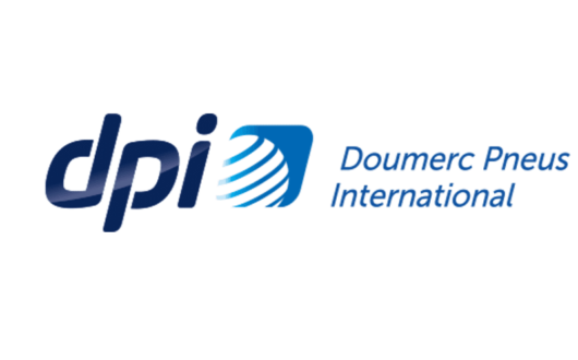 Logo DPI