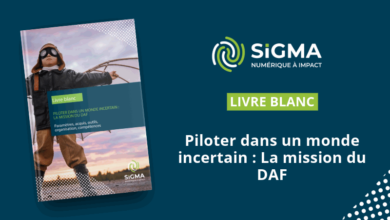 Vignette du livre blanc pour les DAF : piloter dans un monde incertain