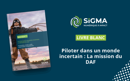 Vignette du livre blanc pour les DAF : piloter dans un monde incertain